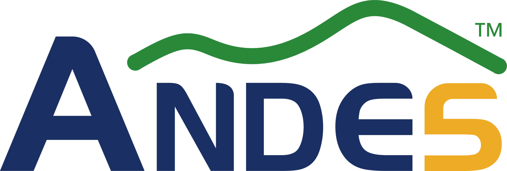 Andes Technology